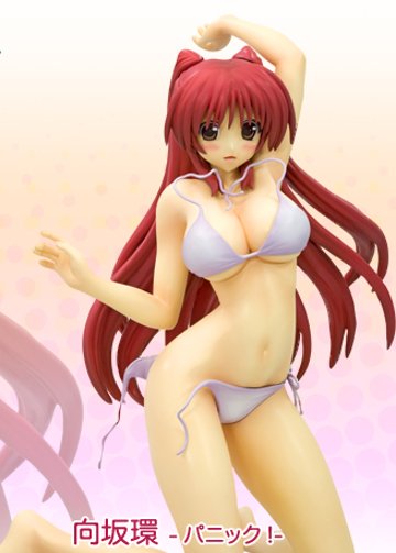 AnotherDays 向坂环 -パニック！- | Hpoi手办维基