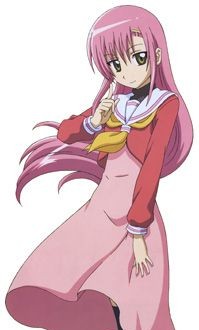 桂雏菊