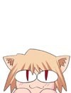 猫姬