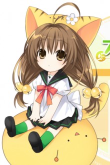 ブロッコリー