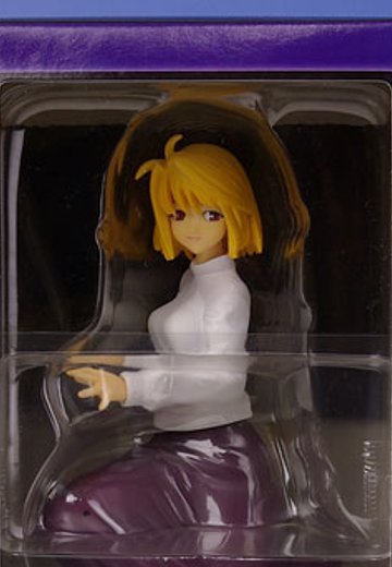 MELTY BLOOD Act Cadenza Extra Figure Vol.1 アルクェイド  | Hpoi手办维基