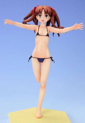 沙滩女王 魔法的禁书目录（茵蒂克斯） 白井黑子