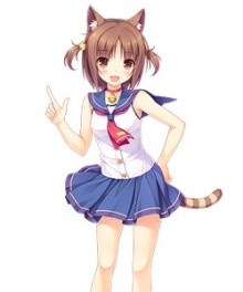 红豆