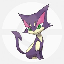 扒手猫