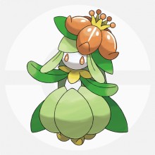 裙儿小姐