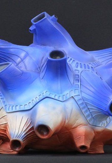 大怪兽系列巨型 布鲁顿 | Hpoi手办维基