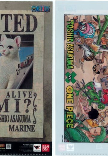 フィギュアーツZERO artist special ナミ as ネコ （魂ウェブ限定） | Hpoi手办维基