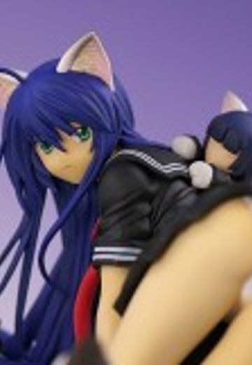 一骑当千 関羽云长 Black Cat Ver. 