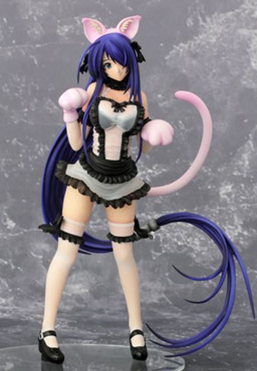 一骑当千 Xtreme Xecutor 関羽云长 Maid Nekomimi 