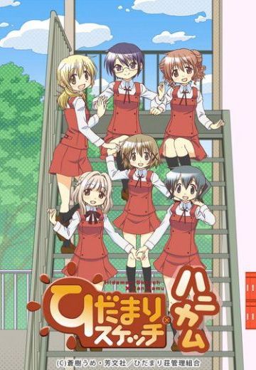 向阳素描×蜂窝