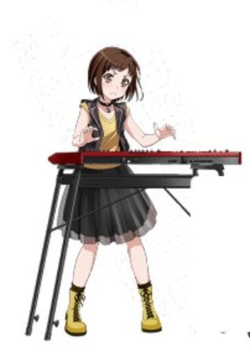 羽泽鸫