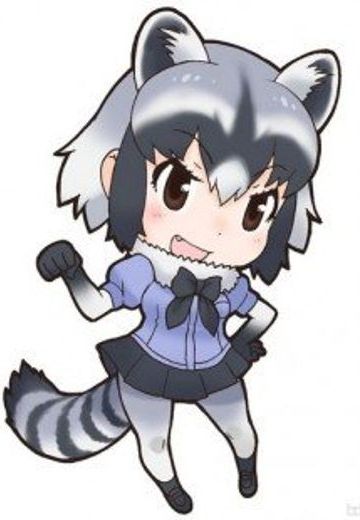 浣熊
