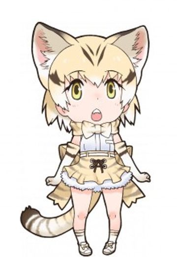 沙丘猫