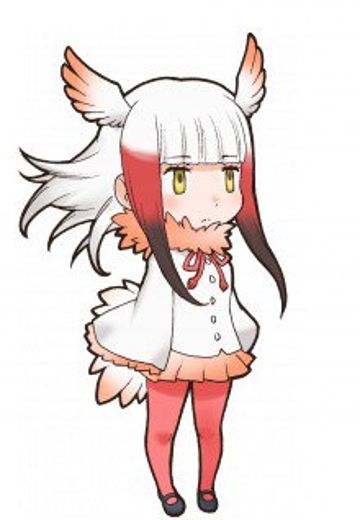 朱鹮