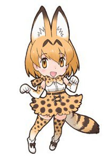 薮猫