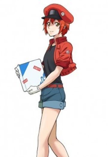 红细胞
