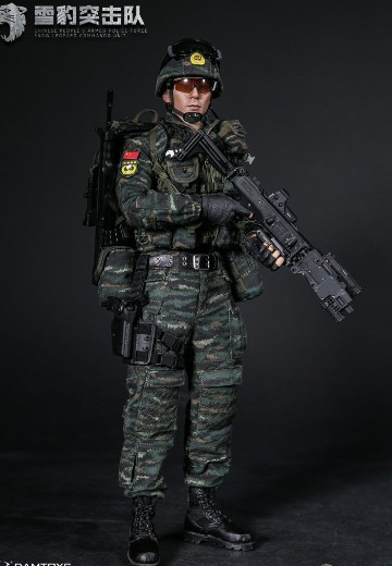 DAMTOYS 78052 1/6 中国人民武装警察部队特警部队 雪豹突击队 队员 | Hpoi手办维基
