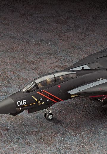 Creator Works 皇牌空战5:未颂的战争 F-14A 熊猫  | Hpoi手办维基