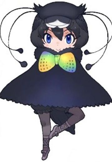 阿法六线风鸟