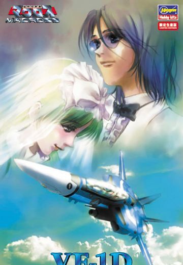 超时空要塞 VF-1D Valkyrie Virgin Road  | Hpoi手办维基