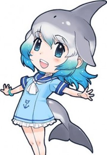 宽吻海豚