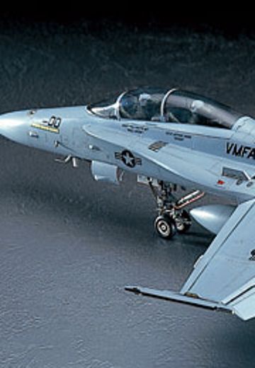 1/48 F-18D 大黄蜂 夜间战斗型 | Hpoi手办维基