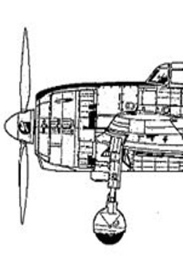 1/48 川西 N1K1-Ja 紫电11型甲 美军俘获机 (菲律宾昭和20年6月)  | Hpoi手办维基