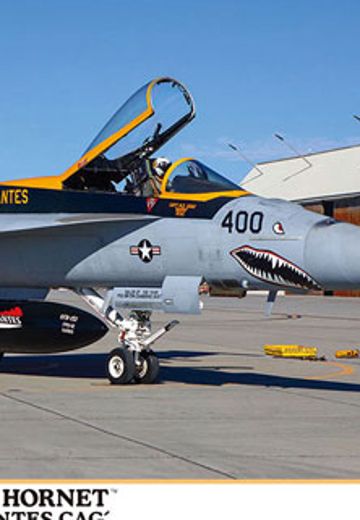 F/A-18E 超级大黄蜂 舰载战斗机“VFA-151义务警中队 CAG