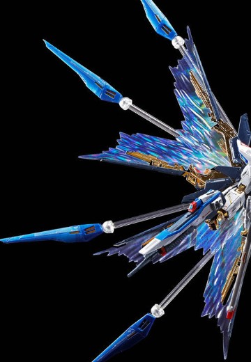 RG 1/144 强袭自由高达专用强化特效件“天空之翼” | Hpoi手办维基