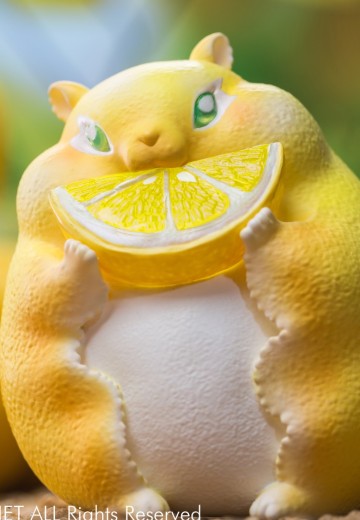 果物精灵 柠檬鼠 | Hpoi手办维基
