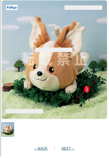 BIG超大毛绒玩偶  摇曳露营△ 第二季  竹轮