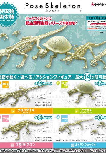 多姿骷髅 爬行类两栖类No.204 娃娃鱼 | Hpoi手办维基