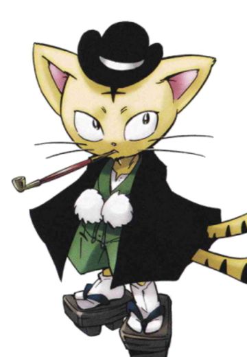 猫又全宗