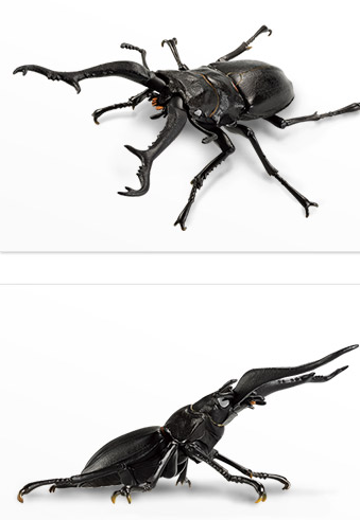 一番赏昆虫 世界昆虫博物馆 F奖 长颈鹿锯锹（白眼） | Hpoi手办维基