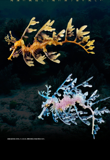 高级生物大图鉴  叶海龙