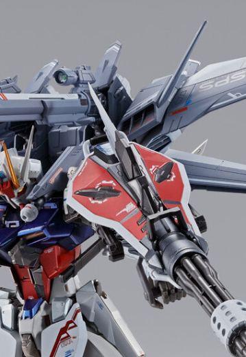 METAL BUILD 机动战士高达SEED MSV I.W.S.P.