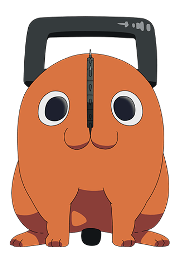 波奇塔