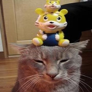 ジャスティス