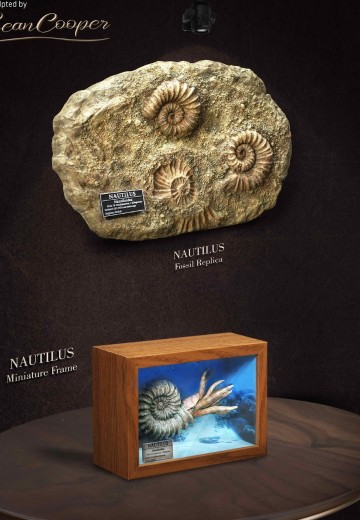 史前动物系列 鹦鹉螺 | Hpoi手办维基