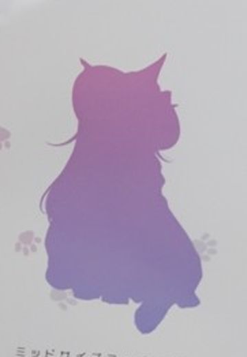 Palette 我家的猫是可爱女孩 换装系列 新品
