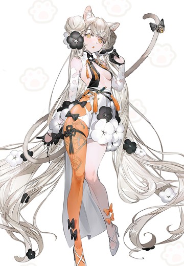 花猫 MAOMAO