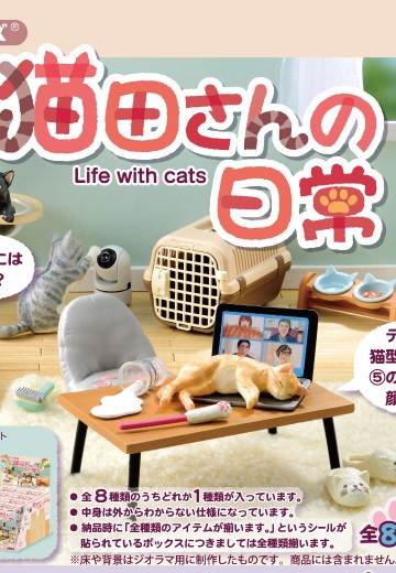 小小样品 猫田的日常
