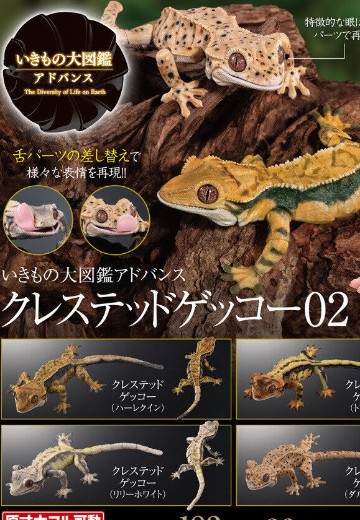 进化生物大图鉴 睫角壁虎 2 | Hpoi手办维基