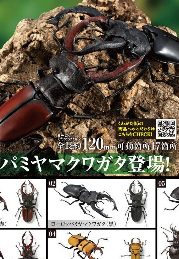 生物大图鉴 锹甲 5 | Hpoi手办维基