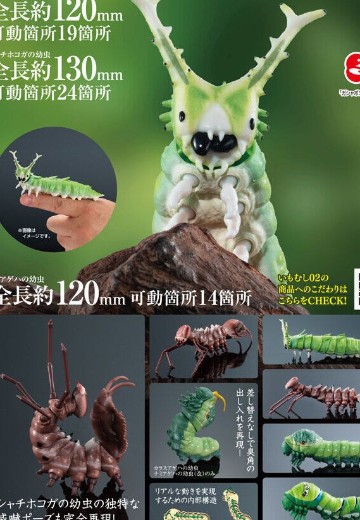 生物大图鉴 毛虫 2