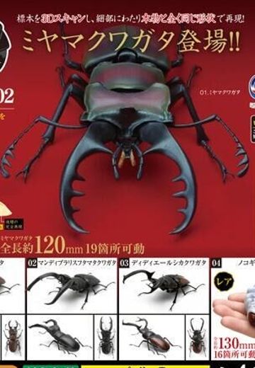 生物大图鉴 锹甲 2 | Hpoi手办维基