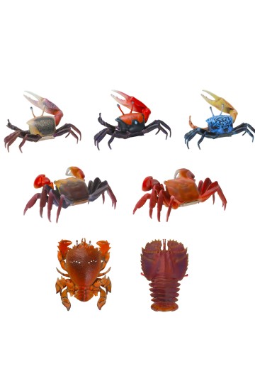 生物大图鉴 迷你系列 甲壳类