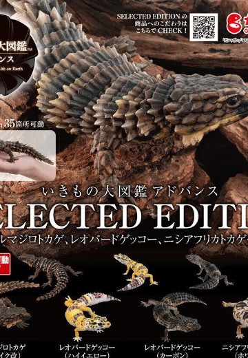 进化生物大图鉴 精选版