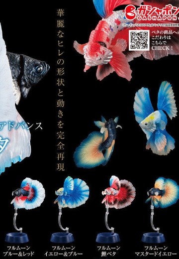 进化生物大图鉴 斗鱼 | Hpoi手办维基