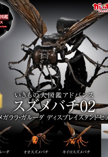 进化生物大图鉴 胡蜂 2 加鲁达巨唇泥蜂 + 展示架套装 | Hpoi手办维基